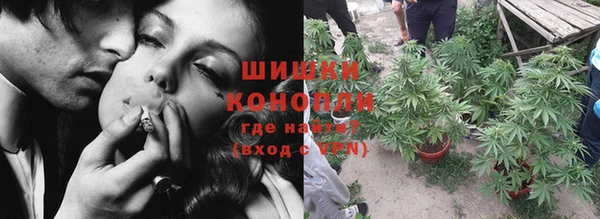 ГАЛЛЮЦИНОГЕННЫЕ ГРИБЫ Арсеньев
