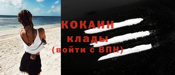 ГАЛЛЮЦИНОГЕННЫЕ ГРИБЫ Арсеньев